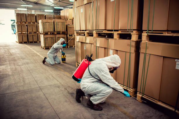 Best Pest Control Near Me  in Granite Hills, CA