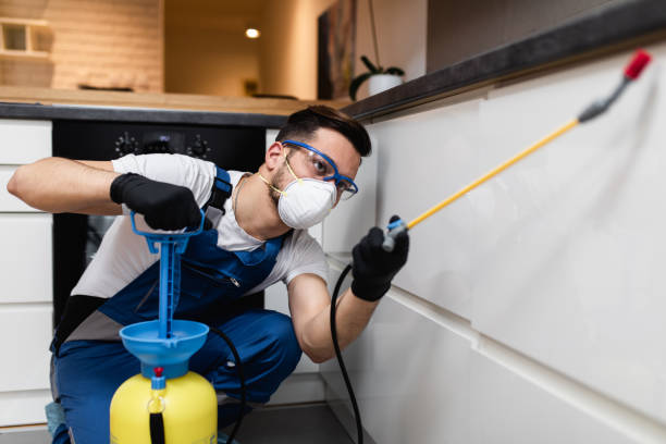 Best Affordable Pest Control Services  in Granite Hills, CA