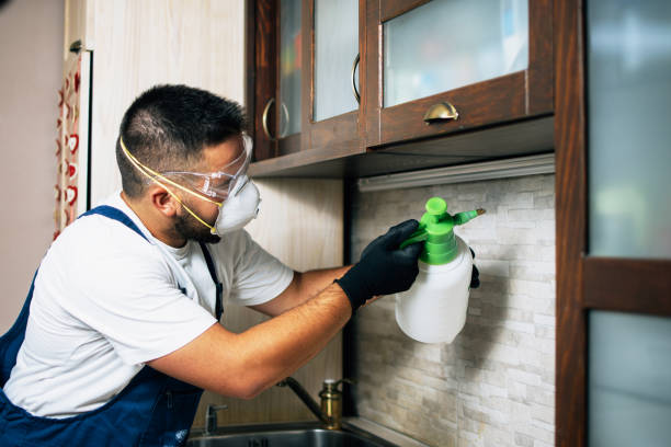 Trusted Granite Hills, CA Pest Control Experts