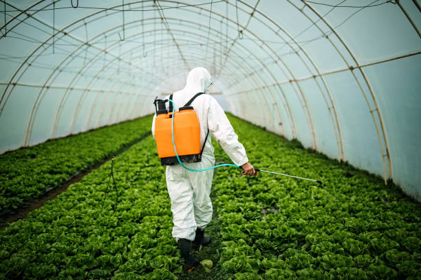 Best Pest Prevention Services  in Granite Hills, CA