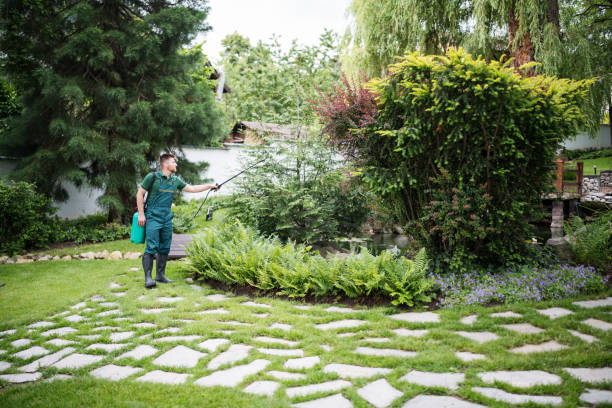 Best Flea Control Services  in Granite Hills, CA
