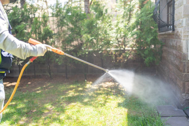 Best Spider Control Near Me  in Granite Hills, CA