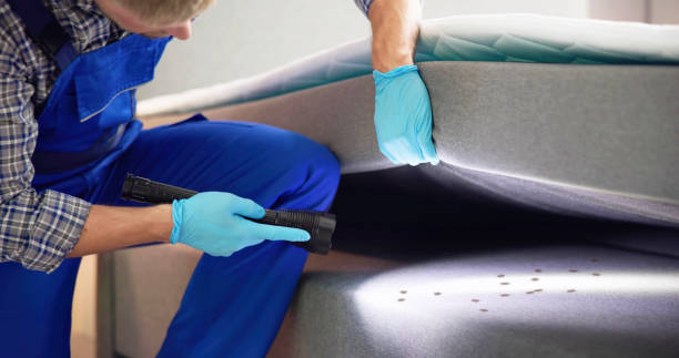 Best Best Pest Control Companies  in Granite Hills, CA