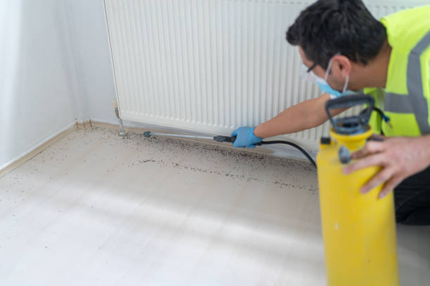 Best Ant Control Services  in Granite Hills, CA